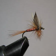 ���� ����� Dry fly Quill DFQ 15 